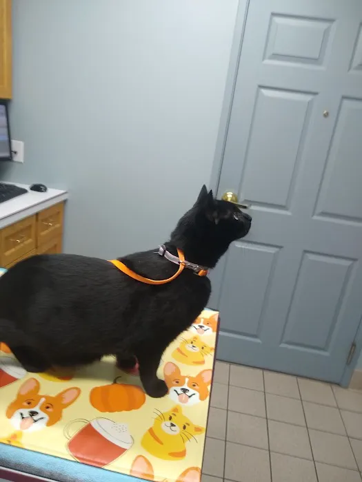 Bethel Animal Hospital 3