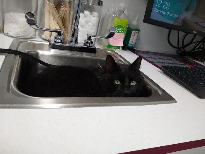 Bethel Animal Hospital 4