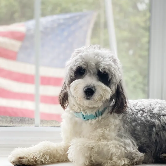 Yarmouth Veterinary Center 10