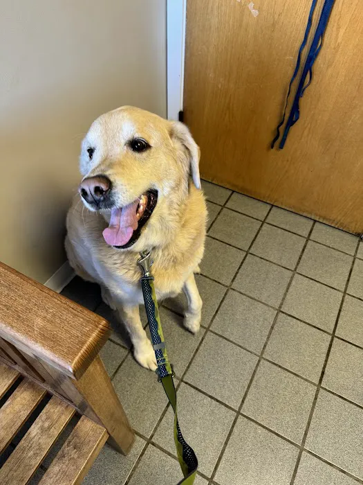 Falmouth Veterinary Hospital 8