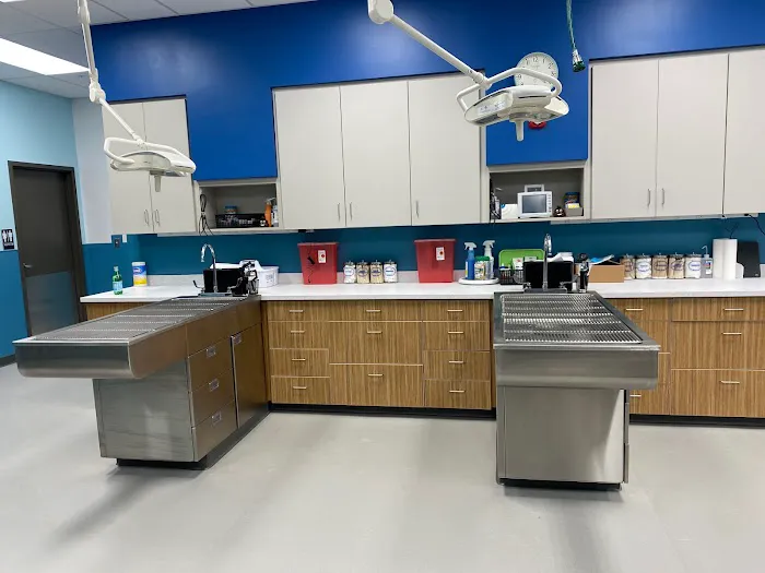 PetMedic Urgent Care Vet Clinic - Freeport 5