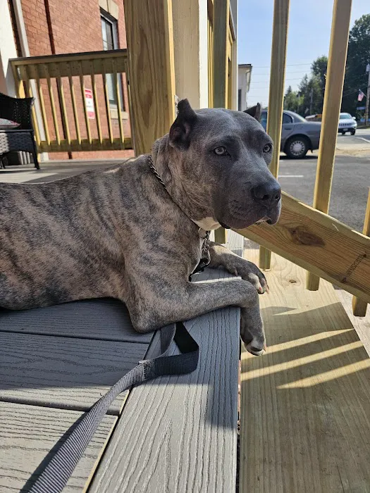 Rumford Animal Hospital 9