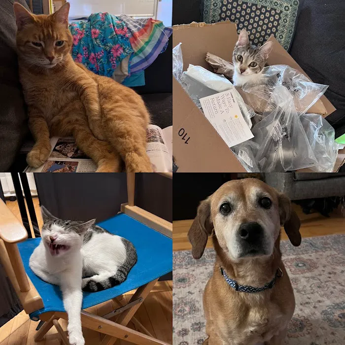 Mt. Mansfield Animal Hospital 8