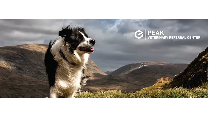 Peak Veterinary Referral Center 3