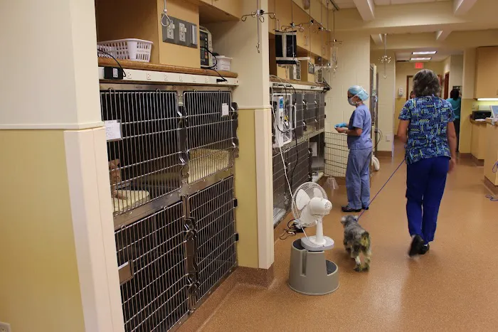 Peak Veterinary Referral Center 9