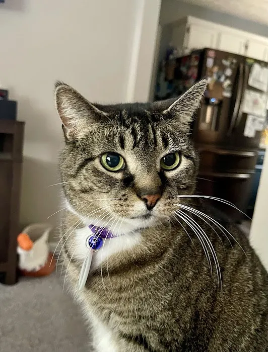 Long Trail Veterinary Center 10