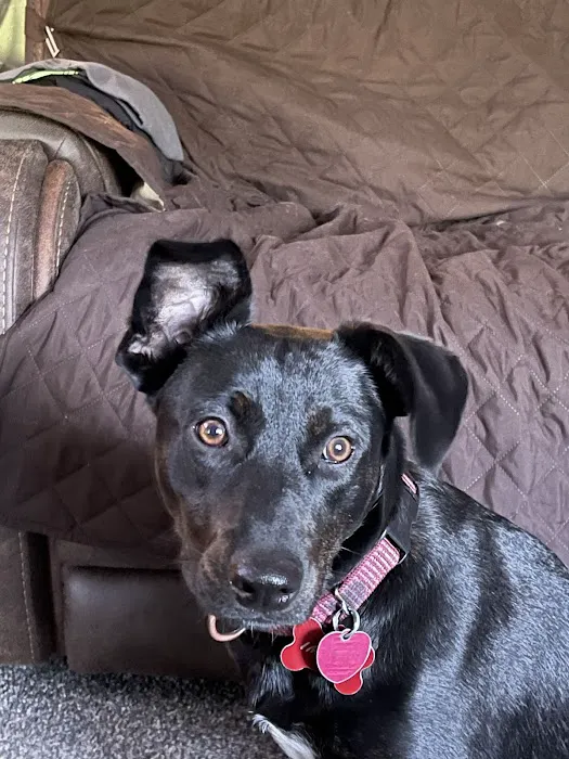 Long Trail Veterinary Center 3