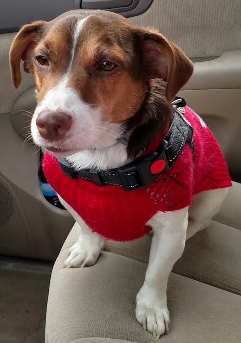 Long Trail Veterinary Center 6
