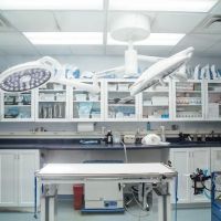 Burlington Emergency & Veterinary Specialists ico