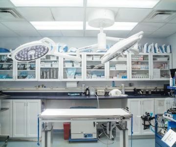 Burlington Emergency & Veterinary Specialists
