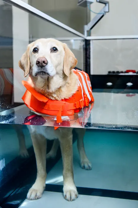 Burlington Emergency & Veterinary Specialists 7