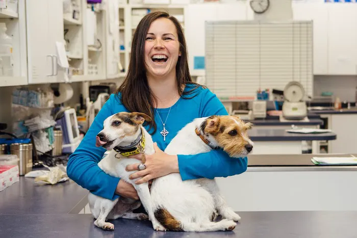 Burlington Emergency & Veterinary Specialists 8