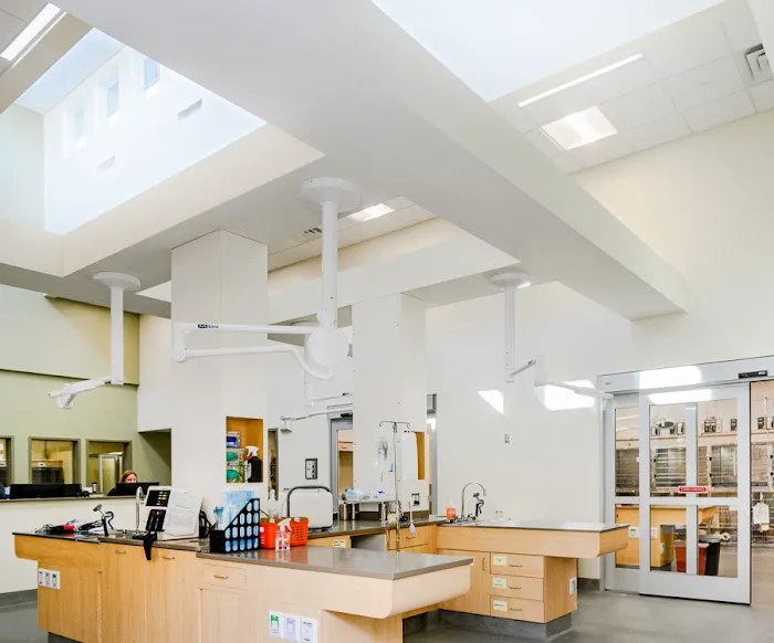 Burlington Emergency & Veterinary Specialists 6