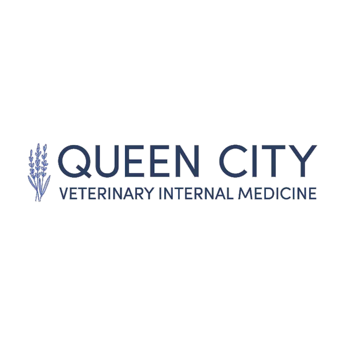 Queen City Veterinary Internal Medicine 1