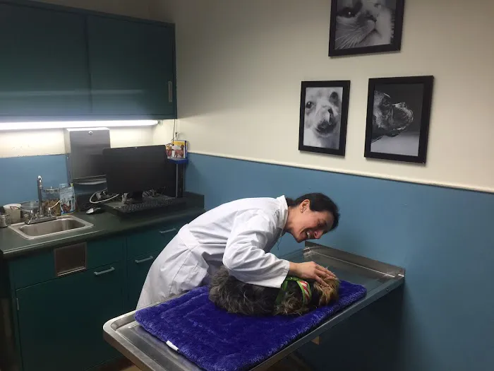 VCA Brown Animal Hospital 9