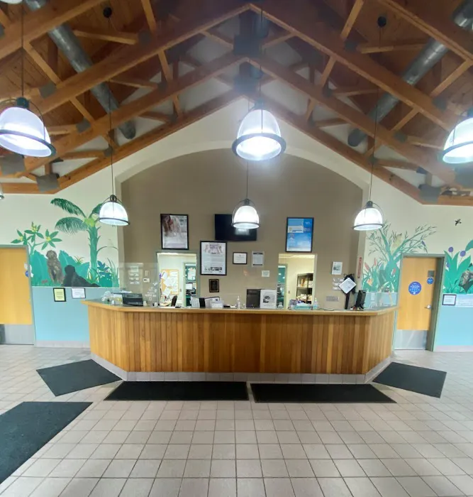 VCA Brown Animal Hospital 6
