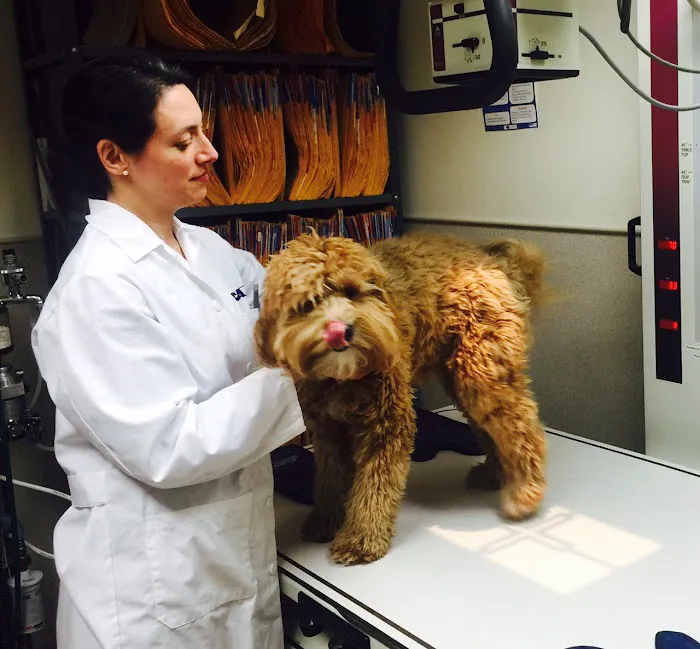 VCA Brown Animal Hospital 4