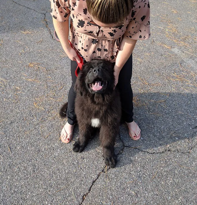 VCA Brown Animal Hospital 7