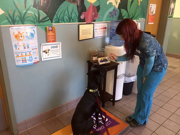 VCA Brown Animal Hospital 8