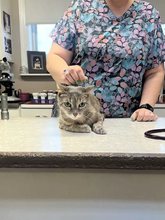 Elmbrook Veterinary Services 3