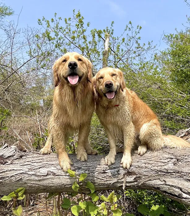 Essex Veterinary Center 9