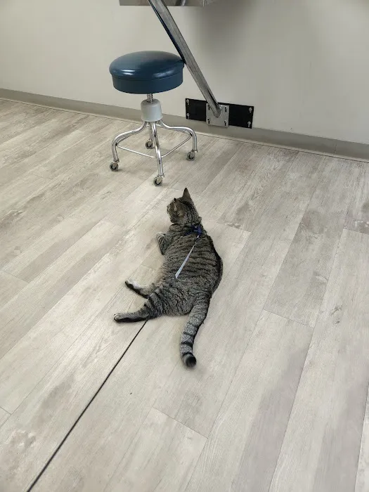 Essex Veterinary Center 3