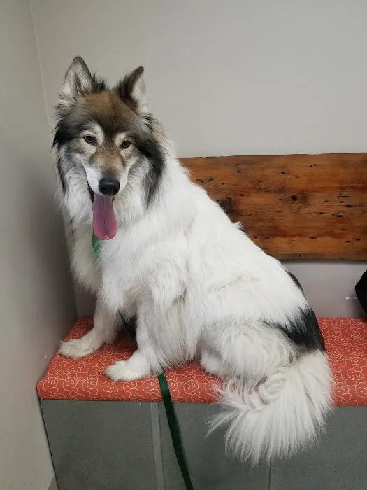 Essex Veterinary Center 7