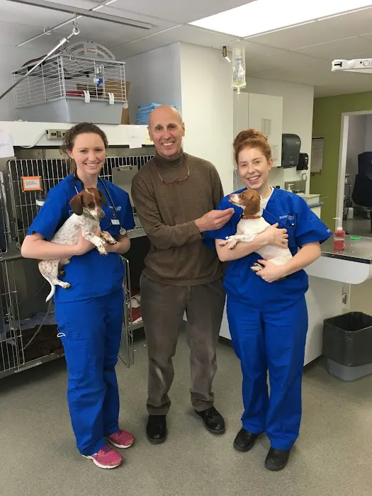 Essex Veterinary Center 10
