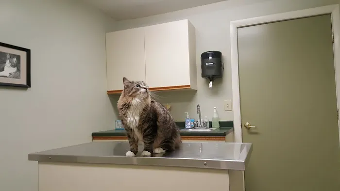 River Cove Animal Hospital 1
