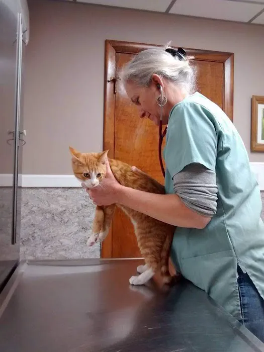 North Shore Veterinary Hospital 2