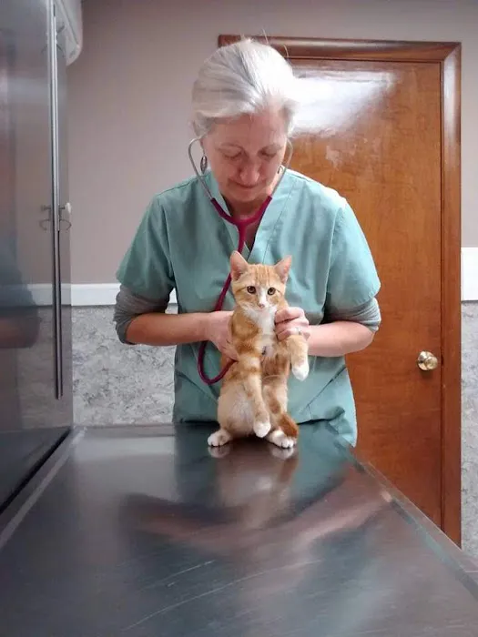 North Shore Veterinary Hospital 5