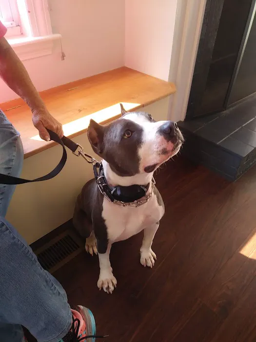 SeaPort Veterinary Hospital 8