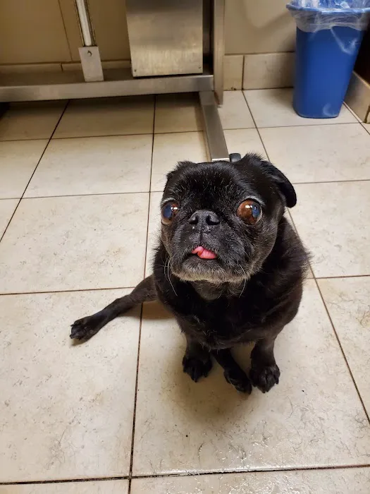 Ridgemont Animal Hospital 4