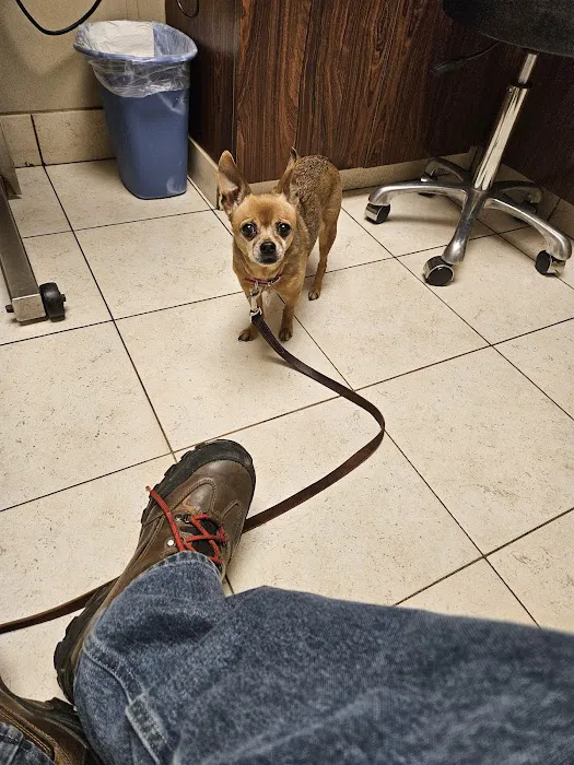 Ridgemont Animal Hospital 8