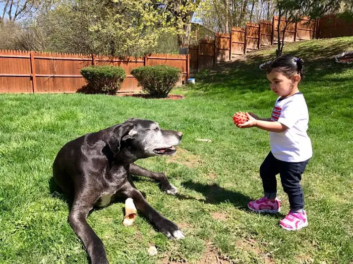 Ridgemont Animal Hospital 10