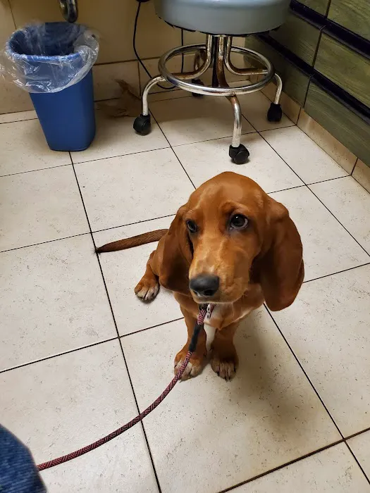 Ridgemont Animal Hospital 5