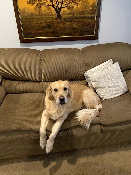 Coldwater Animal Hospital: Korte John M DVM 1