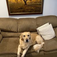 Coldwater Animal Hospital: Korte John M DVM ico