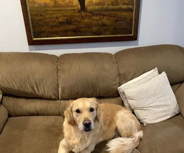 Coldwater Animal Hospital: Korte John M DVM