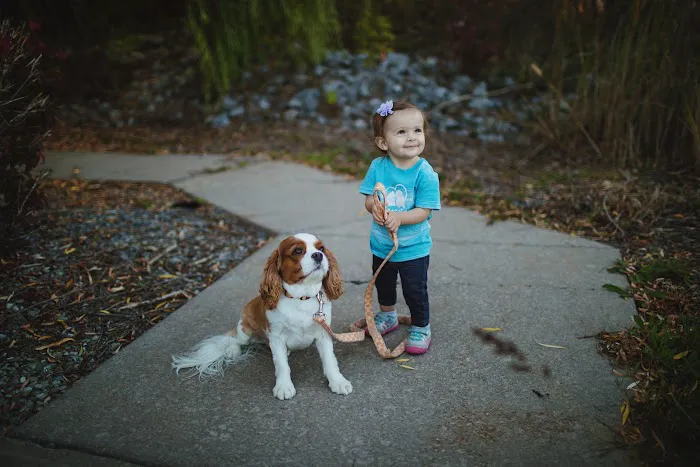 Westside Animal Hospital 2
