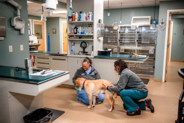 Westside Animal Hospital 3