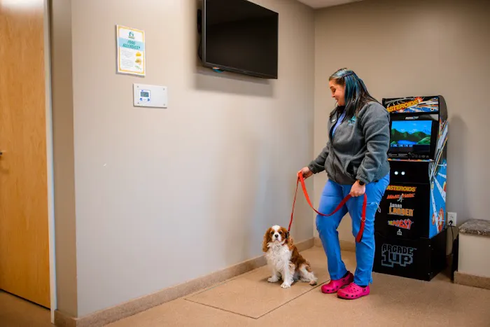 Westside Animal Hospital 9
