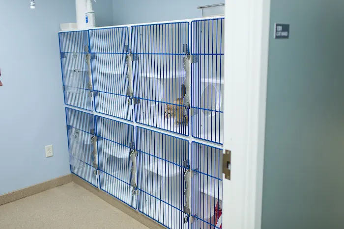 Westside Animal Hospital 1