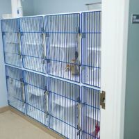 Westside Animal Hospital ico