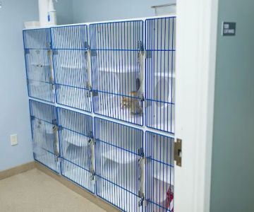 Westside Animal Hospital