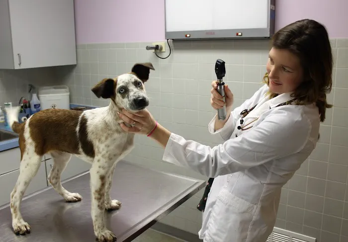Riverside Veterinary Hospital 6