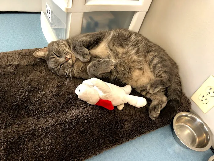Riverside Veterinary Hospital 7