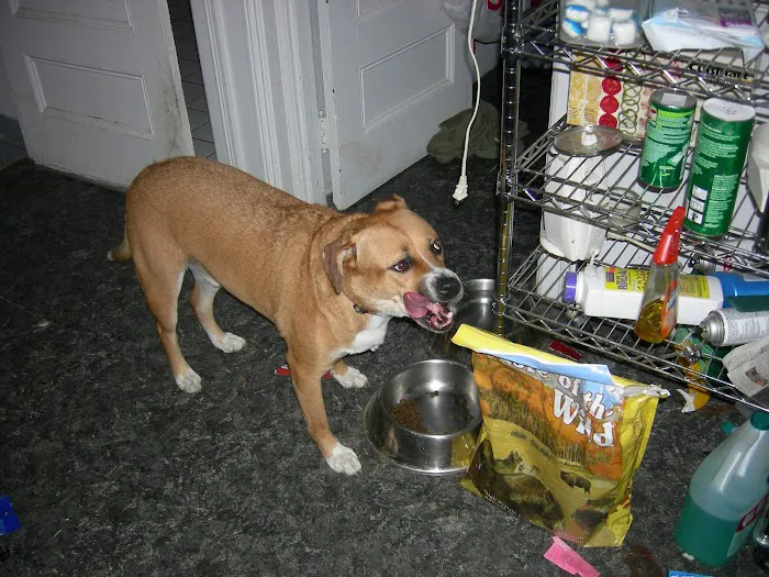Riverside Veterinary Hospital 1