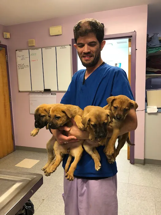 Riverside Veterinary Hospital 9