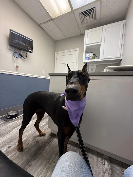 Murrells Inlet Veterinary Hospital 10